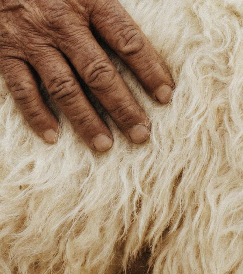 The Feel of Merino